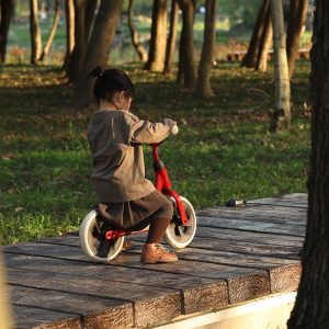 QPLAY TRAINER BALANS BICIKL - CRVENI - Slika 8