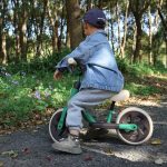 QPLAY TRAINER BALANS BICIKL - ZELENI - Slika 6
