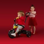TRICIKL QPLAY ANT - GREY - Slika 3
