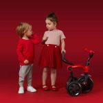 TRICIKL QPLAY ANT - GREY - Slika 2
